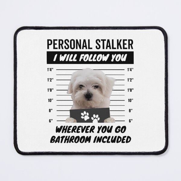 Item preview, Personal Stalker Dog – Maltese designed and sold by More Cute Dogs.
