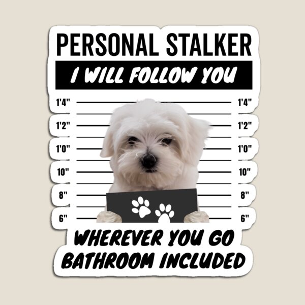 Item preview, Personal Stalker Dog – Maltese designed and sold by More Cute Dogs.