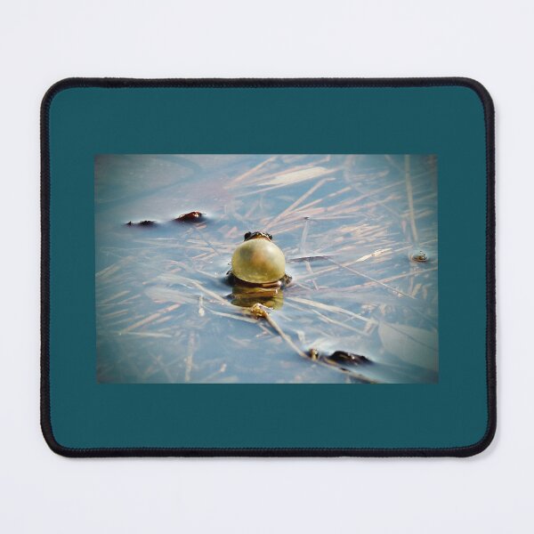 Item preview, Choral Serenade designed and sold by Anita Oakley.