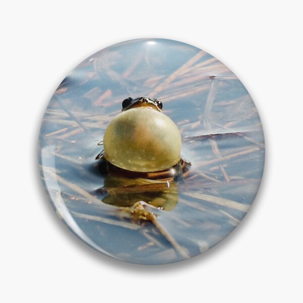 Item preview, Choral Serenade designed and sold by Anita Oakley.