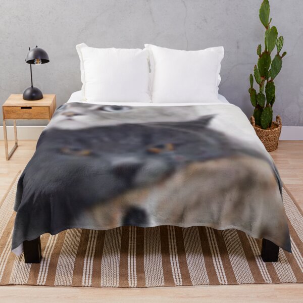 Item preview, gatos designed and sold by DanaIrik.
