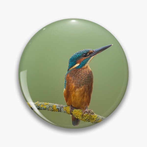Item preview, Liken designed and sold by iaintall.