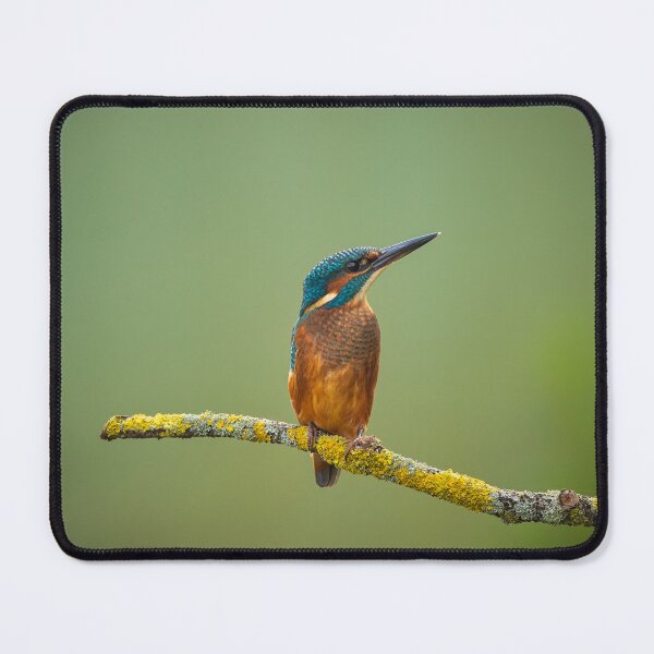 Item preview, Liken designed and sold by iaintall.