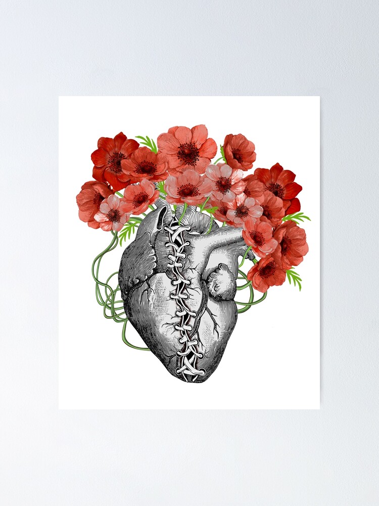 Póster «Corazón roto, arte floral de la ilustración del corazón humano,  cordones, anémonas rojas, corazón atado, corazón cosido» de Collagedream |  Redbubble