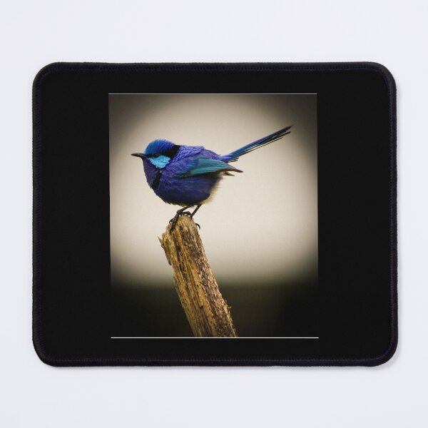 Item preview, Bluey at Larg Perfect Gift   designed and sold by TheStafforads.