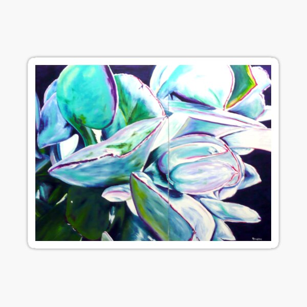 Cotyledon Orbiculata Sticker
