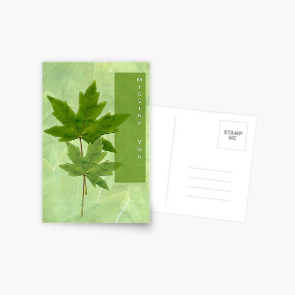 missing you card Postcard