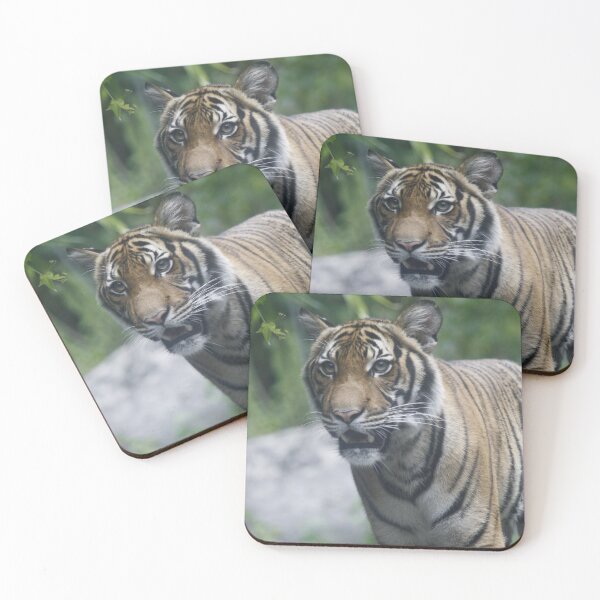 Item preview, Tiger designed and sold by Shelly Straub.