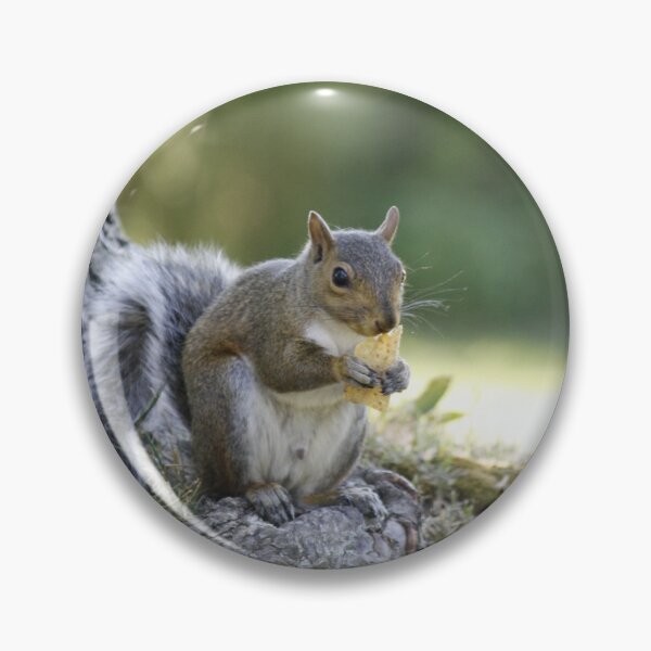 Item preview, The squirrel by the tree designed and sold by Shelly Straub.