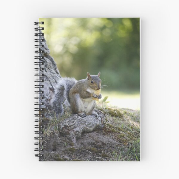 Item preview, The squirrel by the tree designed and sold by Shelly Straub.