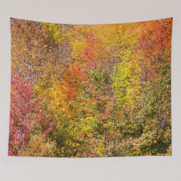Item preview,  Autumn Canadian Nature wall decor,Canada,Narure,Canada print,panoramic,panorama, art,lake life,Sunset lake,great lake sunset,wall posters designed and sold by eyesight4vision.