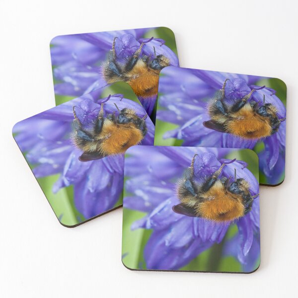 Item preview, Bumbling along and hanging on designed and sold by Violaman.