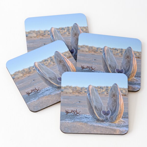 Item preview, Beach clam designed and sold by ianlewer.