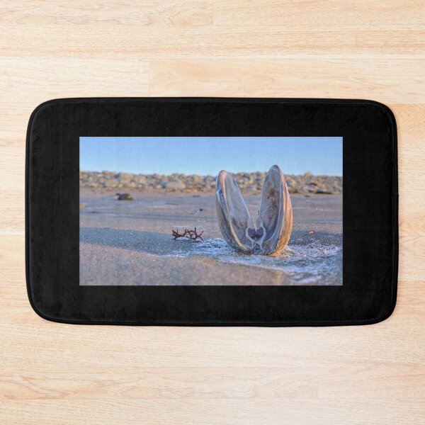 Item preview, Beach clam designed and sold by ianlewer.