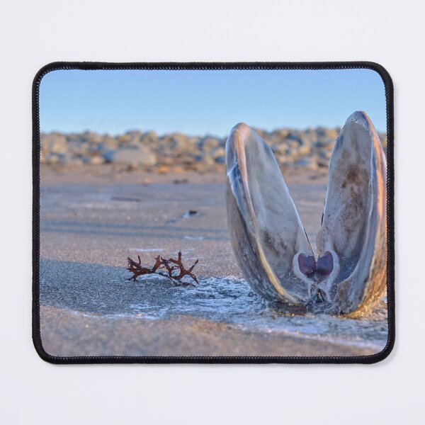 Item preview, Beach clam designed and sold by ianlewer.