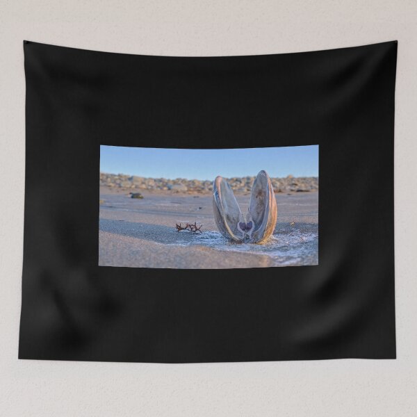 Item preview, Beach clam designed and sold by ianlewer.
