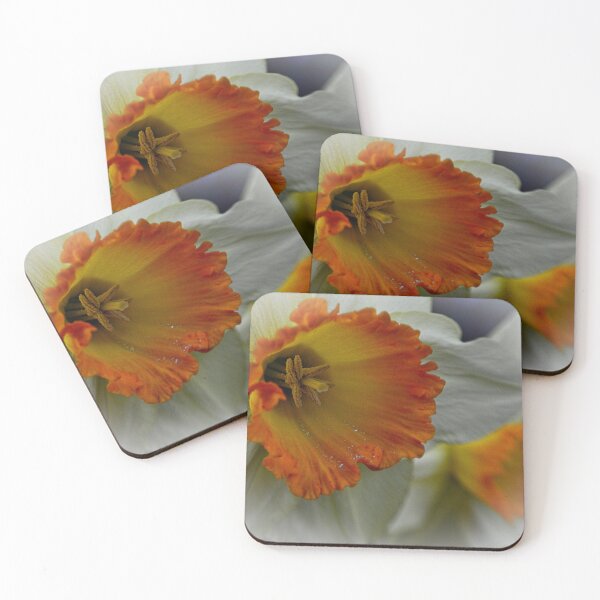 Item preview, Daffodil Flower designed and sold by Martyn R Arnold Fine Art Nature & Landscape Photography.