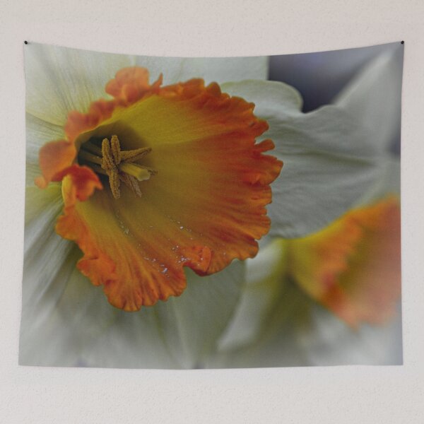Item preview, Daffodil Flower designed and sold by Martyn R Arnold Fine Art Nature & Landscape Photography.
