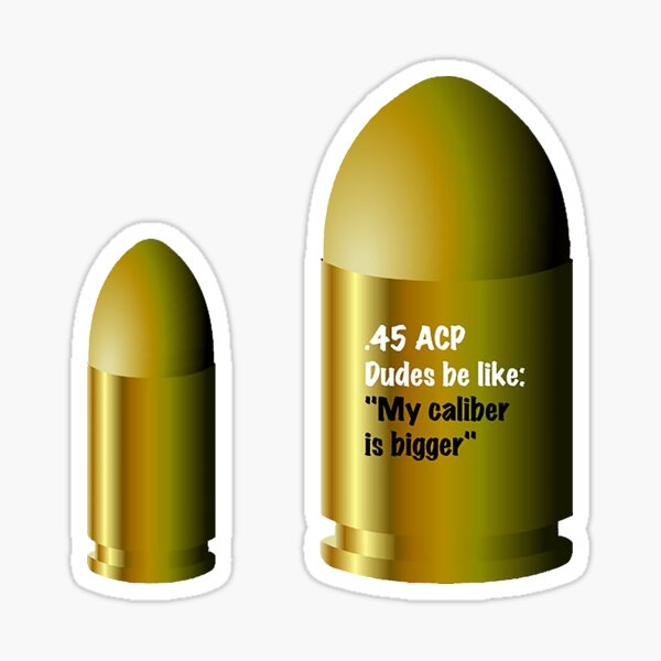 30-06 Ammo Decal Sticker bullet ARMY Gun safety Can Box Hunting 2 pack RD 