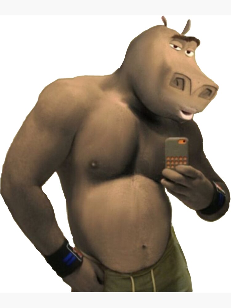 hippo from moto moto｜TikTok Search