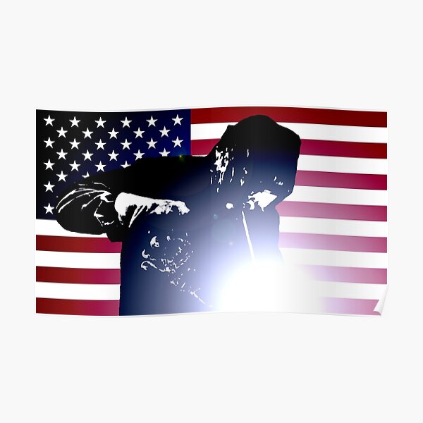 Welding: Welder & American Flag Poster