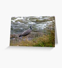 "Checking Out The Menu" Greeting Card
