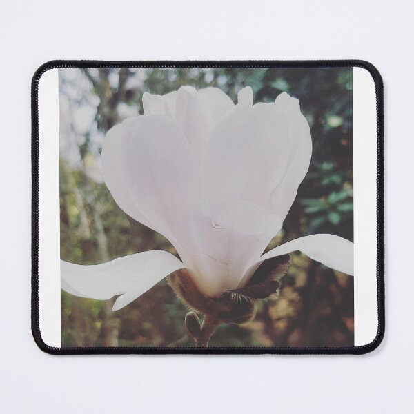 Item preview, Magnolia designed and sold by Emma  Amies.