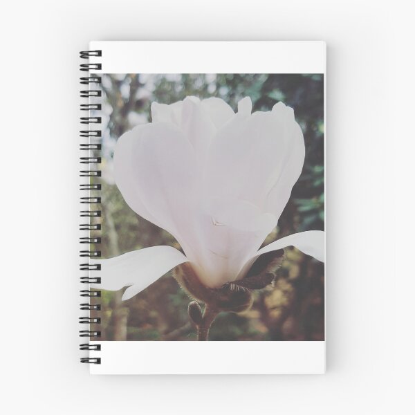 Item preview, Magnolia designed and sold by Emma  Amies.