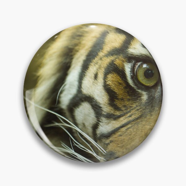 Item preview, Tiger portrait designed and sold by Quotes-and-plus.