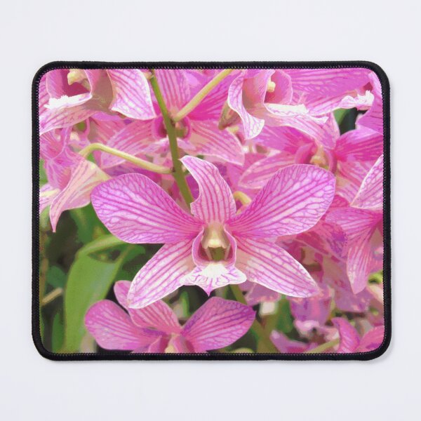 Item preview, Candy Striped Dendrobium Orchid designed and sold by ElenaGaillard.