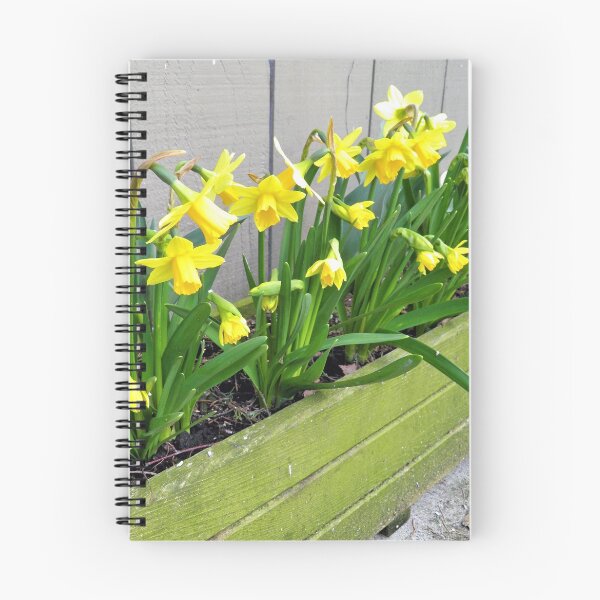 Item preview, Mini Daffs designed and sold by Lesliebc.