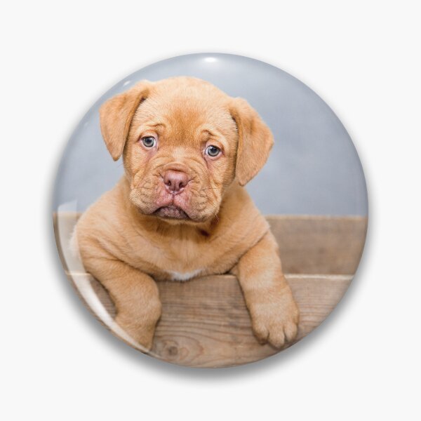 Artikelvorschau, Light brown puppy  entworfen und verkauft von NoelNimmad.