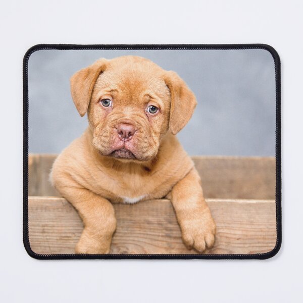 Artikelvorschau, Light brown puppy entworfen und verkauft von NoelNimmad.