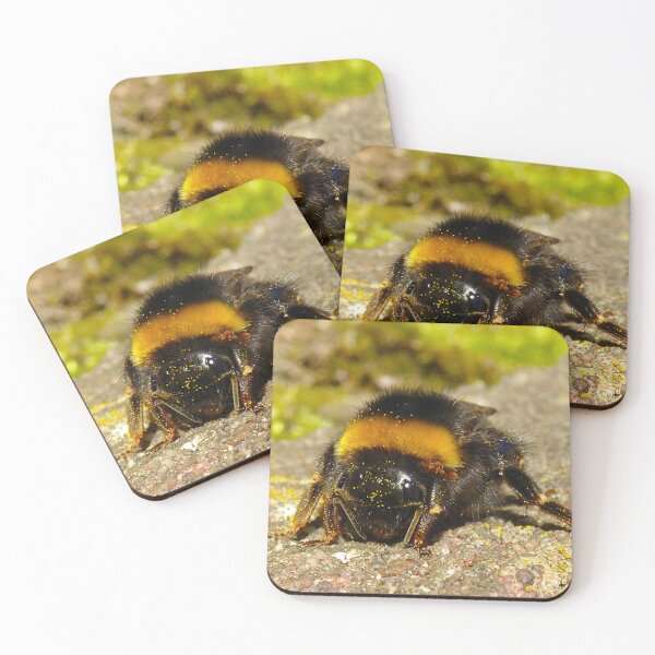 Item preview, Fat hairy bumble bee queen chilling in the sun designed and sold by sopfanna.