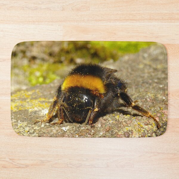 Item preview, Fat hairy bumble bee queen chilling in the sun designed and sold by sopfanna.