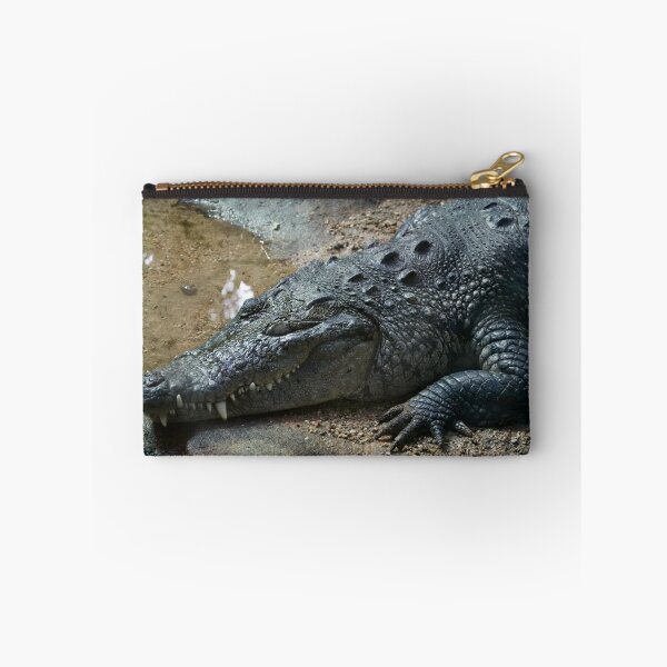 Aperçu de l'œuvre Un crocodile endormi créée et vendue par thelemmingface.
