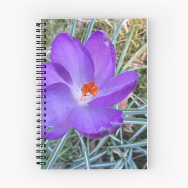 Item preview, Purple flower in Spring of 2022 designed and sold by StephanieCAD.