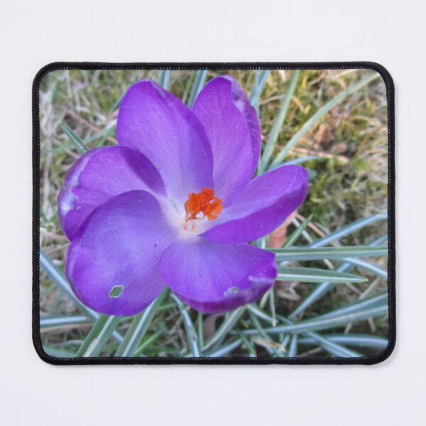 Item preview, Purple flower in Spring of 2022 designed and sold by StephanieCAD.