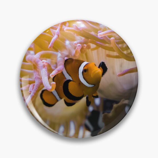 Item preview, White and Orange Percula Clown Fish Hiding Under a Sea Anemone designed and sold by GearGirlNJ.