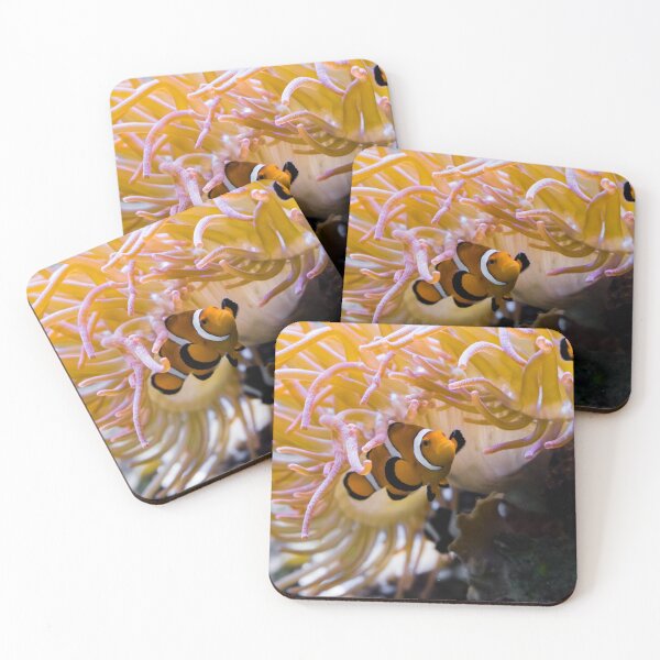 Item preview, White and Orange Percula Clown Fish Hiding Under a Sea Anemone designed and sold by GearGirlNJ.
