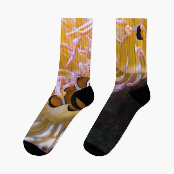 Item preview, White and Orange Percula Clown Fish Hiding Under a Sea Anemone designed and sold by GearGirlNJ.