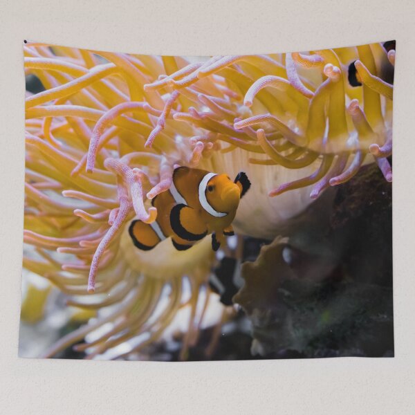 Item preview, White and Orange Percula Clown Fish Hiding Under a Sea Anemone designed and sold by GearGirlNJ.