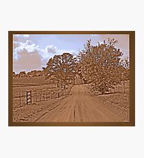 "Don't fence me in" Photographic Print