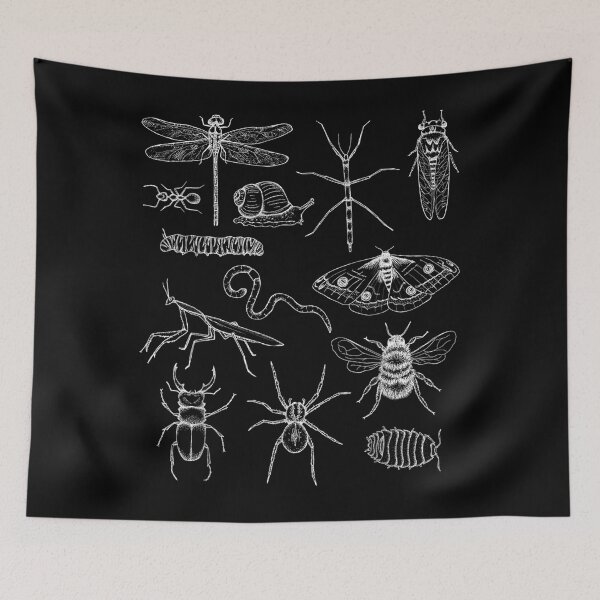 Item preview, Minibeasts  Insects and Invertebrates Drawings designed and sold by alanxgoldberger.