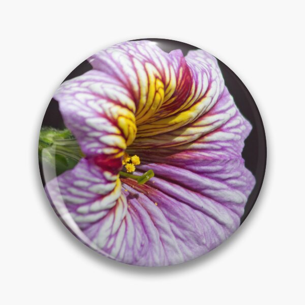 Item preview, Beautiful Salpiglossis designed and sold by alanathrower.
