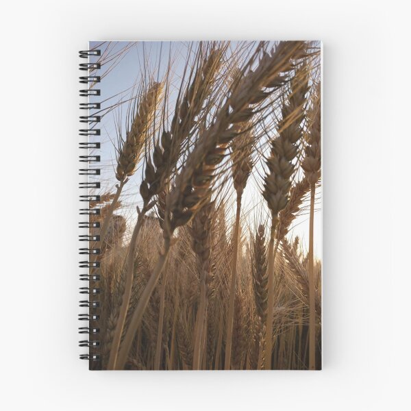 Item preview, golden wheatgrass with shimmering. designed and sold by ZEGO-Pixel.
