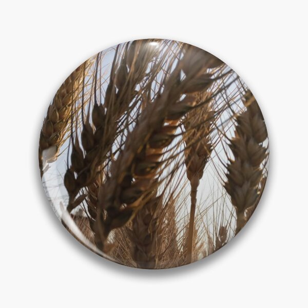 Item preview, golden wheatgrass with shimmering. designed and sold by ZEGO-Pixel.