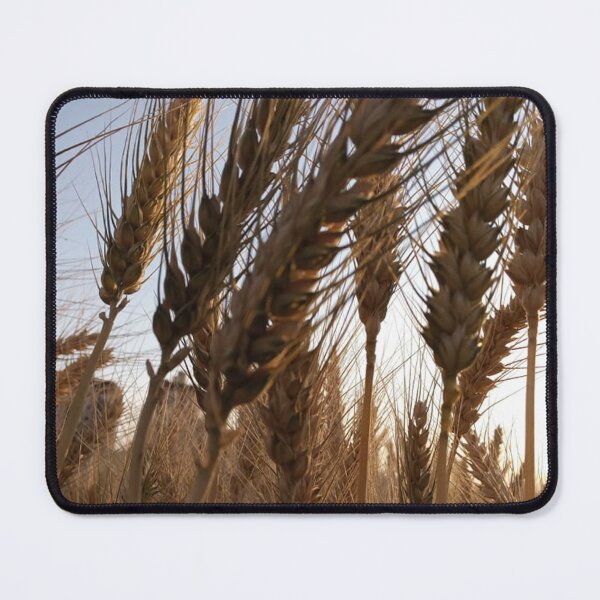 Item preview, golden wheatgrass with shimmering. designed and sold by ZEGO-Pixel.