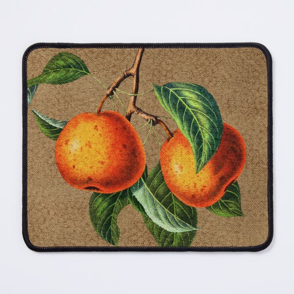 Item preview, Asian Pear Botanical Print on Gesso designed and sold by InspiredPamjoy.