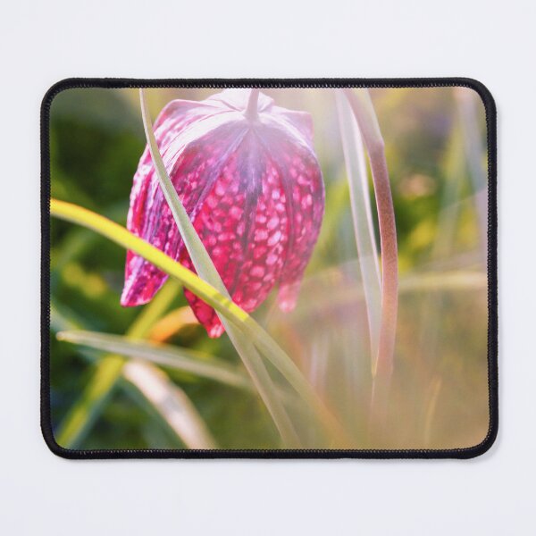 Item preview, Looking - A View  designed and sold by Carl Gaynor.